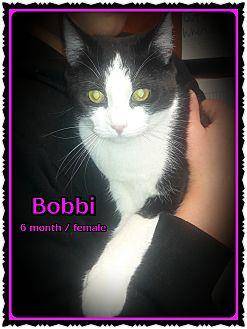 Bobbi (20457060)