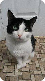 Bogart (16832485)