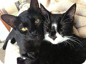 BONDED PAIR/ (14905166)