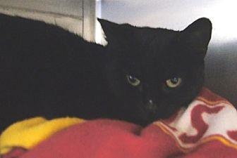 Boo (20158265)