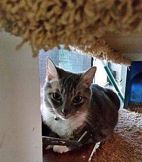Bootsie (20247143)