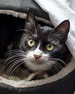 Bootsy (20152446)