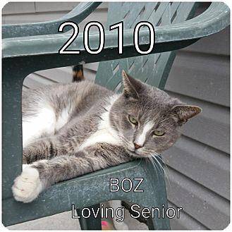 Boz (16552195)