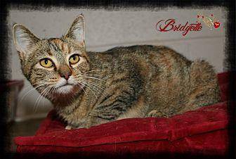 Bridgette (19734618)
