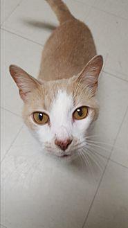Bubba (17930575)