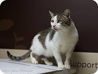 Buddy (10359475)