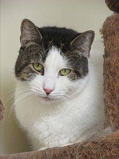 Buddy (20137306)