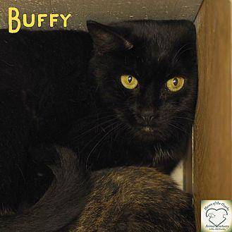 Buffy (11967344)