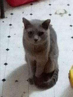 BUFFY (16430593)