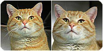 Buster (17288070)