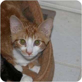 Butterfinger (6590093)