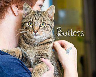 Butters (20050747)