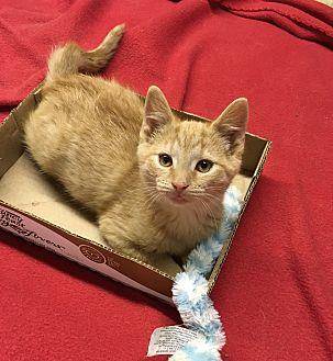 Butters (20129987)