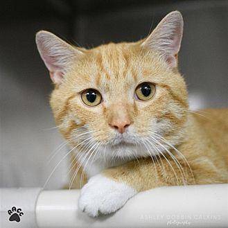 Butters (20161086)