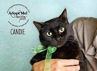 Candie (19684042)