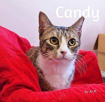 Candy (20314865)