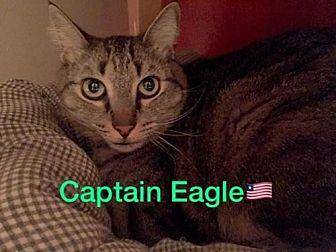 Captain Eagl (18219401)