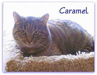 Caramel (16615013)