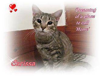 Carissa (14223525)