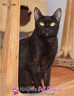 Carla (20152806)