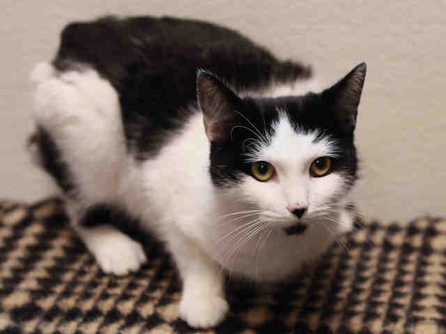 CARLA (A168308)