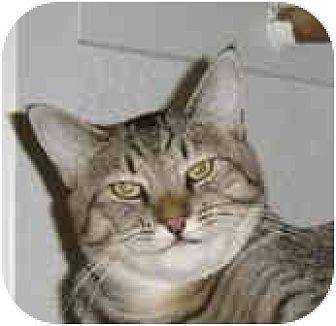 Carly (2745345)