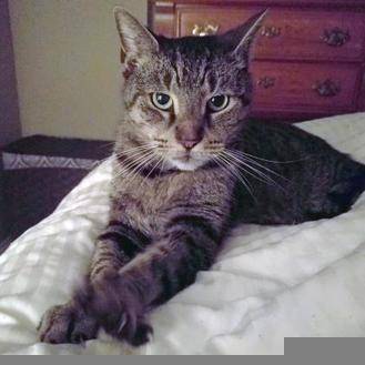 Carter (20145421)