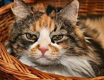 Casie (17842373)