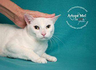 Casper (10902757)