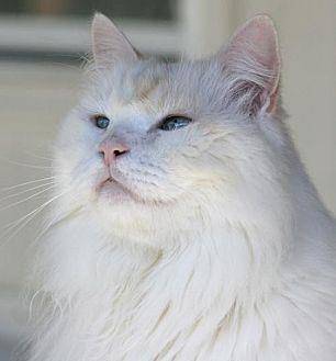 Casper (11135301)
