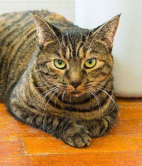 Cassidy, Gor (20107168)