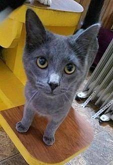 Cat 16080 (20454707)