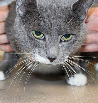 Cat Norris (20648089)