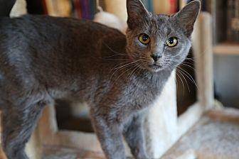 Caterina (20333165)