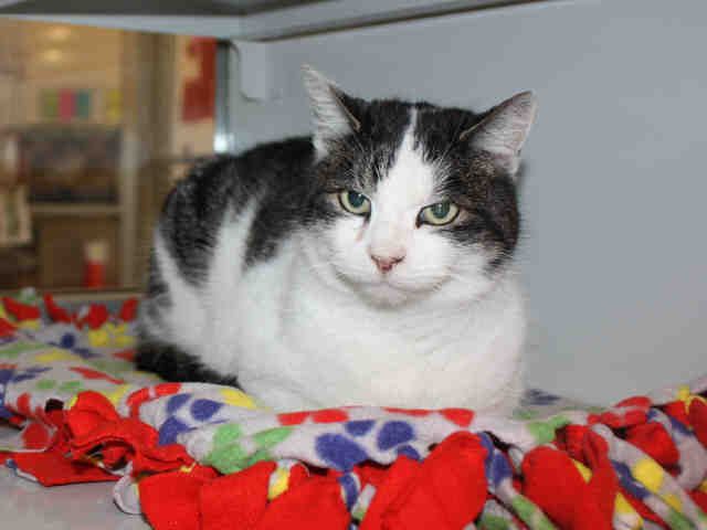 CHARLENE (A119786)
