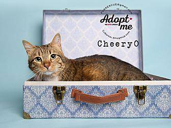 Cheery O (18904778)