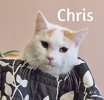 Chris (20243781)