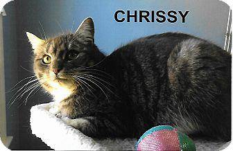 Chrissy (17879213)