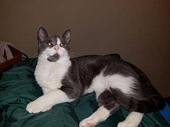 Chunk (18601491)