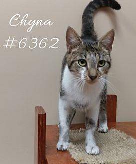 Chyna (20126470)
