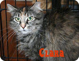 Clara (10752132)