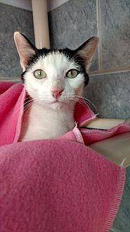 Clara (20085295)