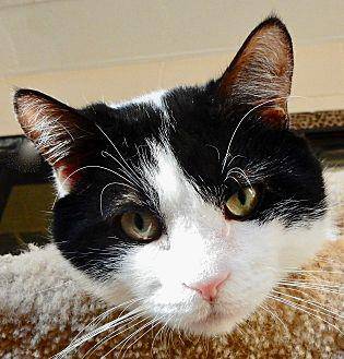 Claude (20078503)