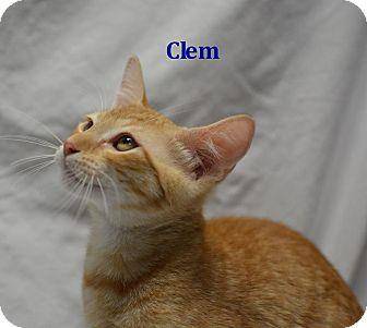 Clem (18863968)