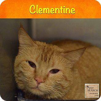Clementine (15941391)