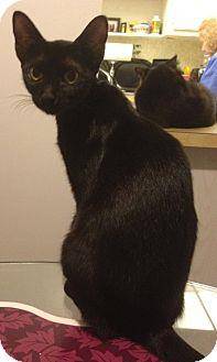 Cleo (16345688)