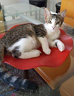 Cleo (19487514)