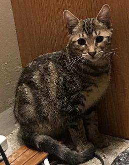 Cleo (19698721)