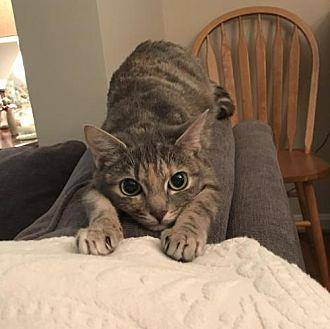 Cleo (20051514)