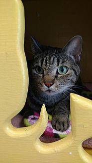 Cleo (20314444)